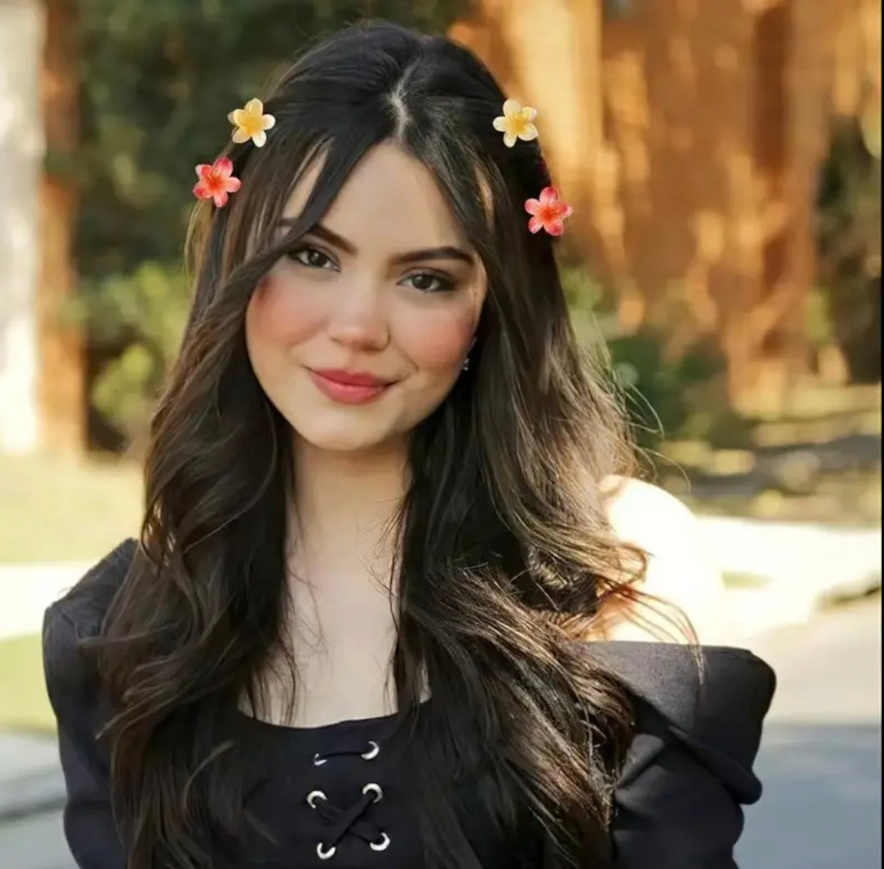 BARRETTES CHEVEUX SET