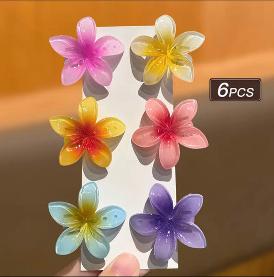 BARRETTES CHEVEUX SET